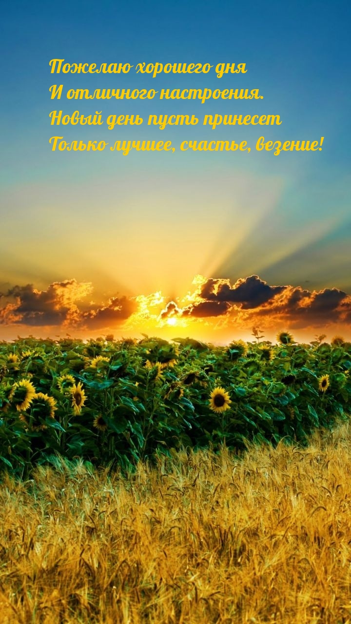 Новый день пусть принесет только лучшее, счастье, везение!