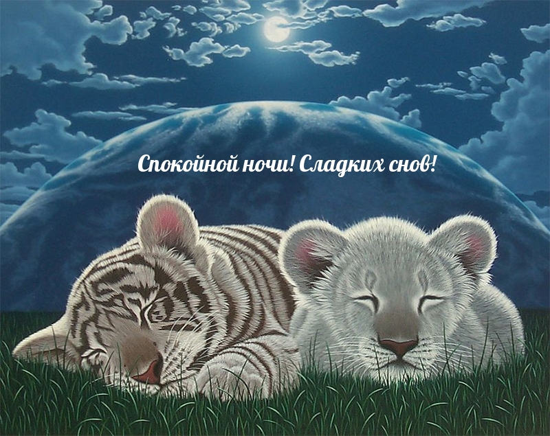 Спокойной ночи! Сладких снов!
