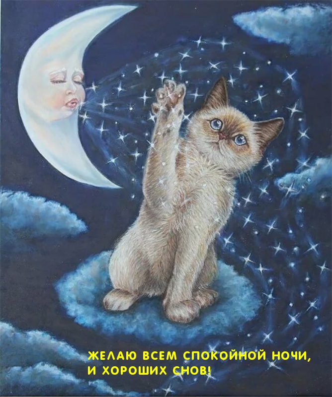 Желаю всем спокойной ночи, и хороших снов!