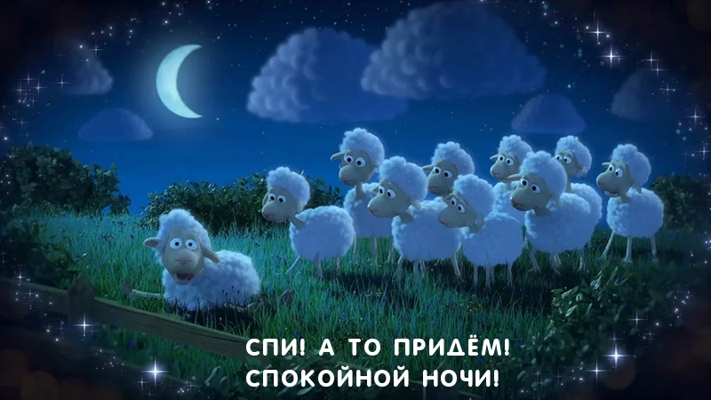 Спи! А то придём! Спокойной ночи!