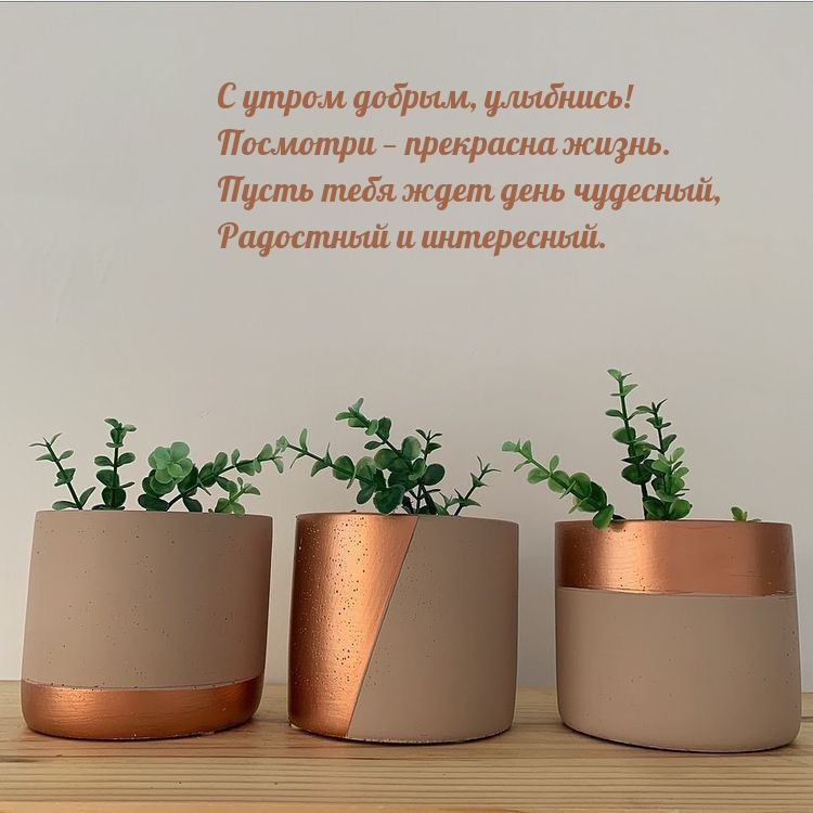 С утром добрым, улыбнись! Посмотри — прекрасна жизнь.