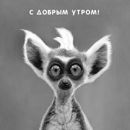 С ДОБРЫМ УТРОМ!