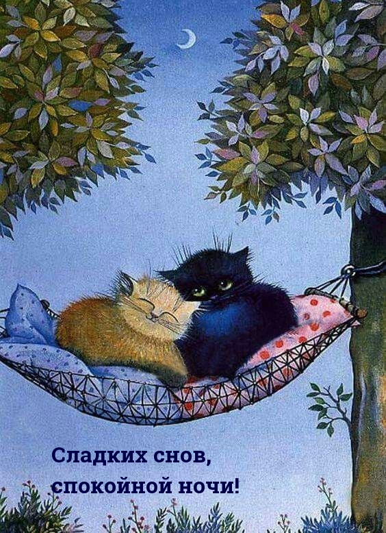 Сладких снов, спокойной ночи!