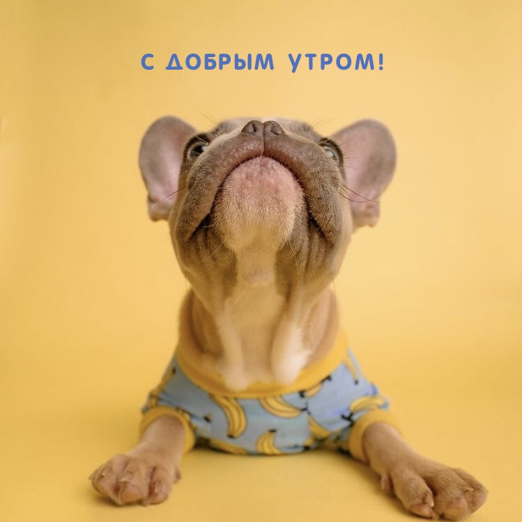 С ДОБРЫМ УТРОМ!