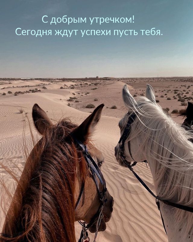 С добрым утречком! Сегодня ждут успехи пусть тебя.