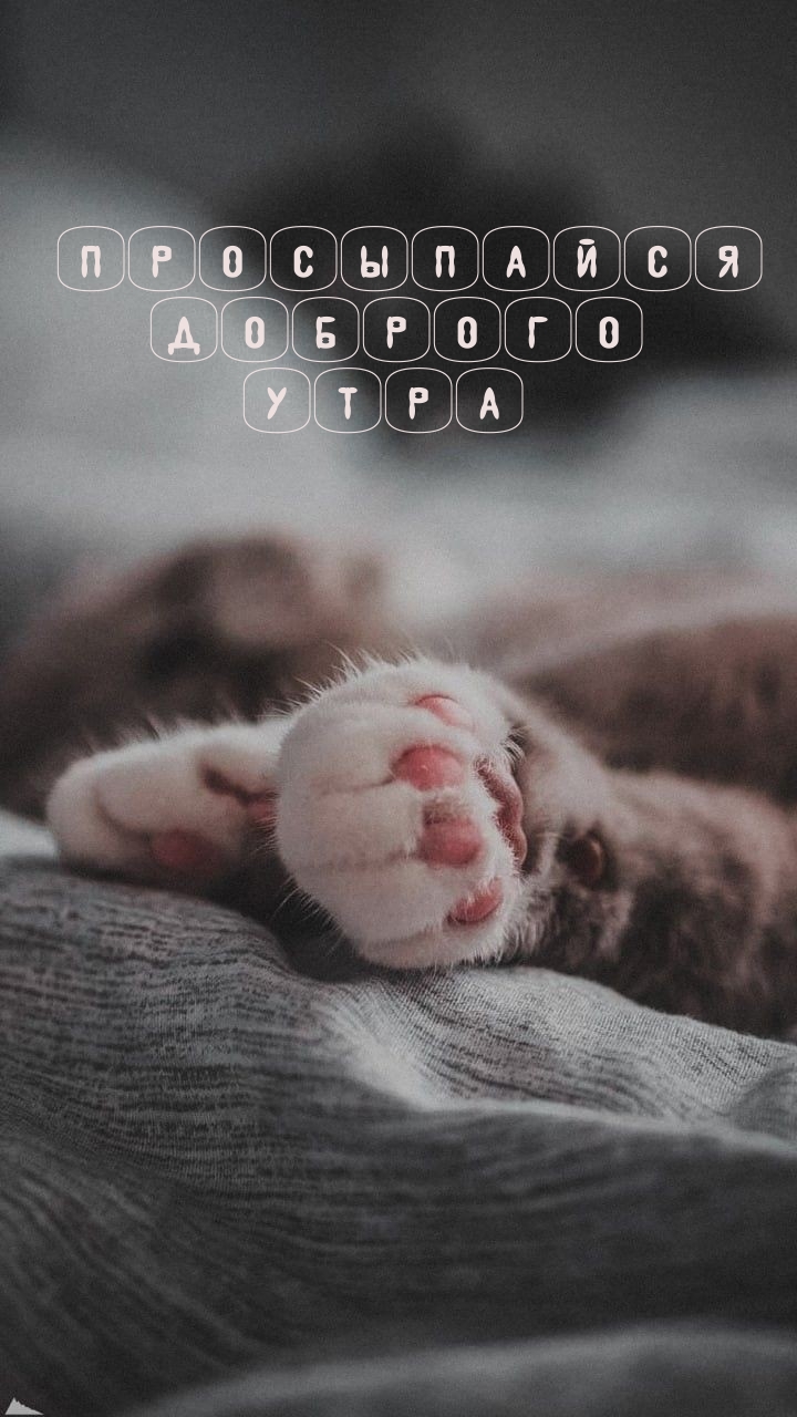 Просыпайся Доброго утра