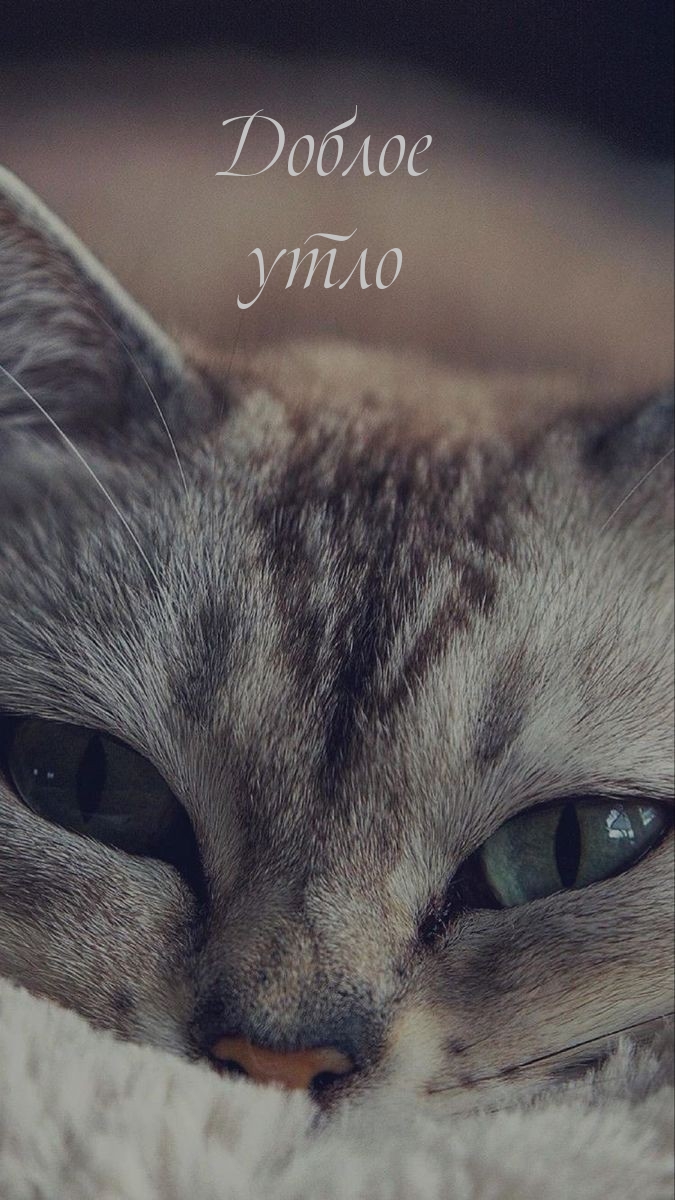 Доблое утло