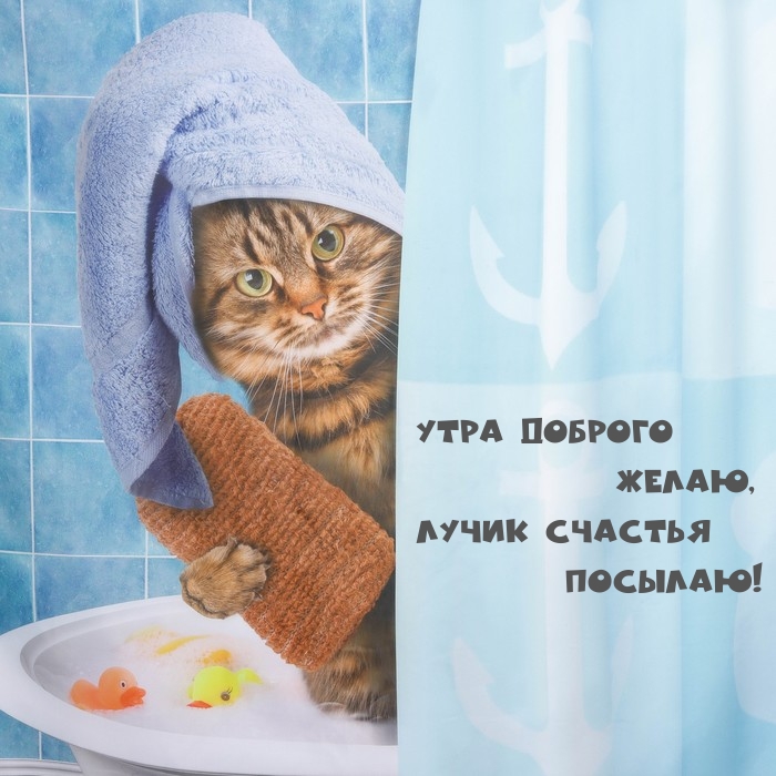 Утра доброго желаю, лучик счастья посылаю!