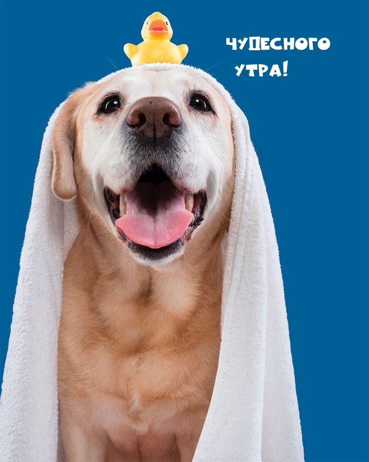 Чудесного утра!