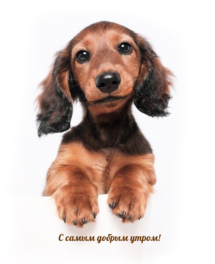 С самым добрым утром!