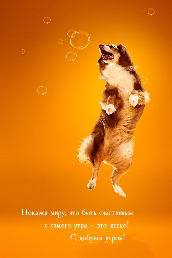 Покажи миру, что быть счастливым с самого утра. С добрым утром!