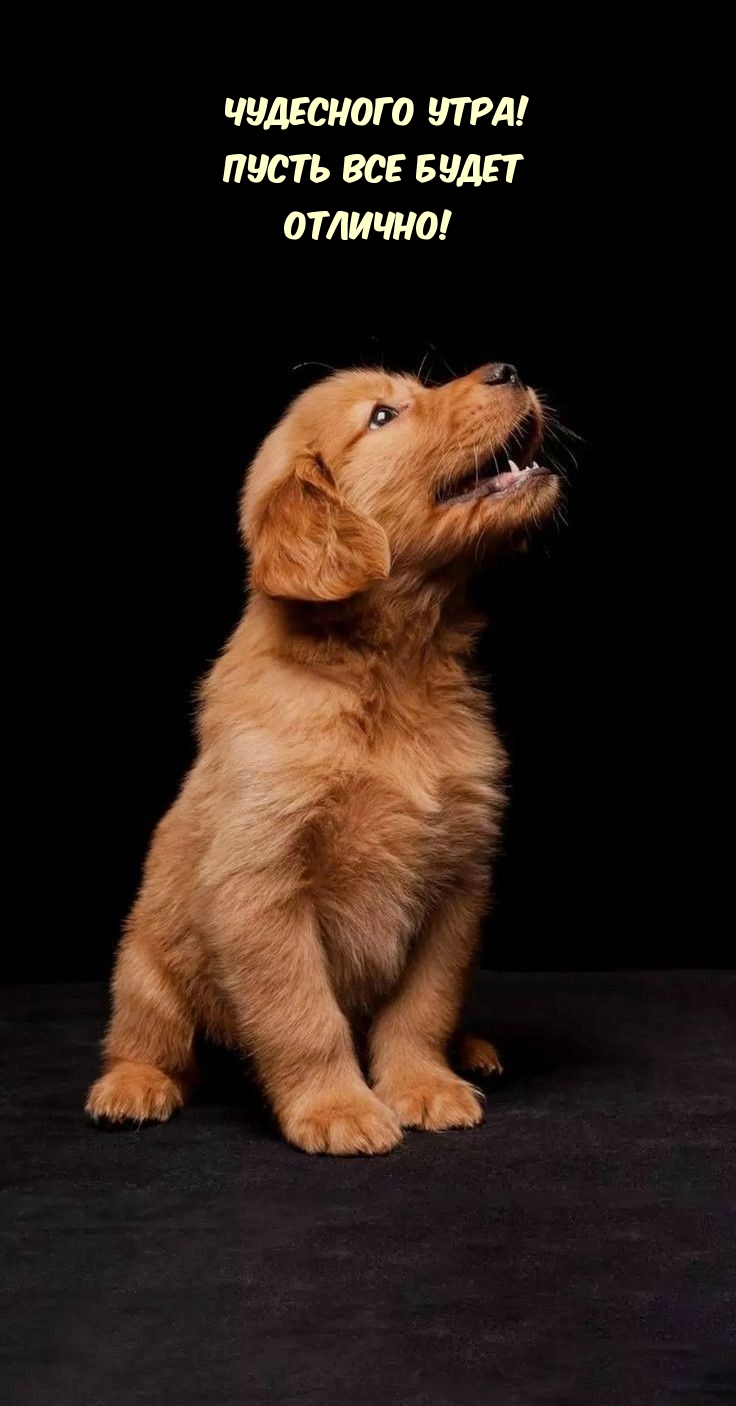 Чудесного утра! Пусть все будет отлично!