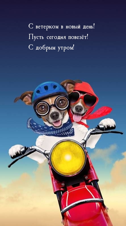 С ветерком в новый день! Пусть сегодня повезёт!