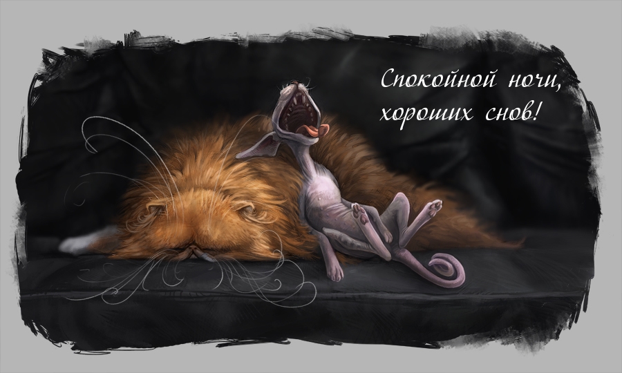 Спокойной ночи, хороших снов!