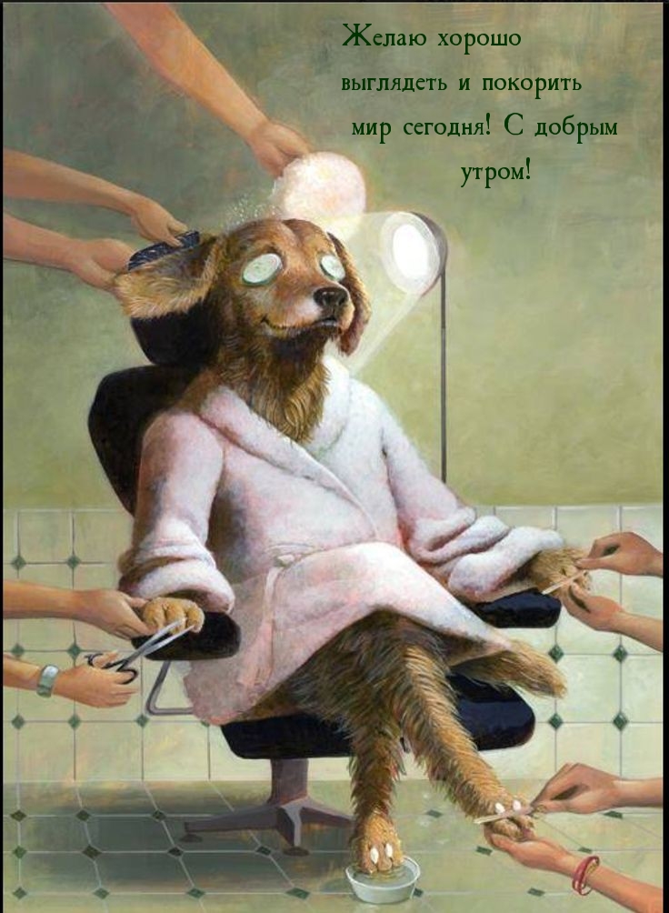 Хорошо выглядеть и покорить мир сегодня! С добрым утром!