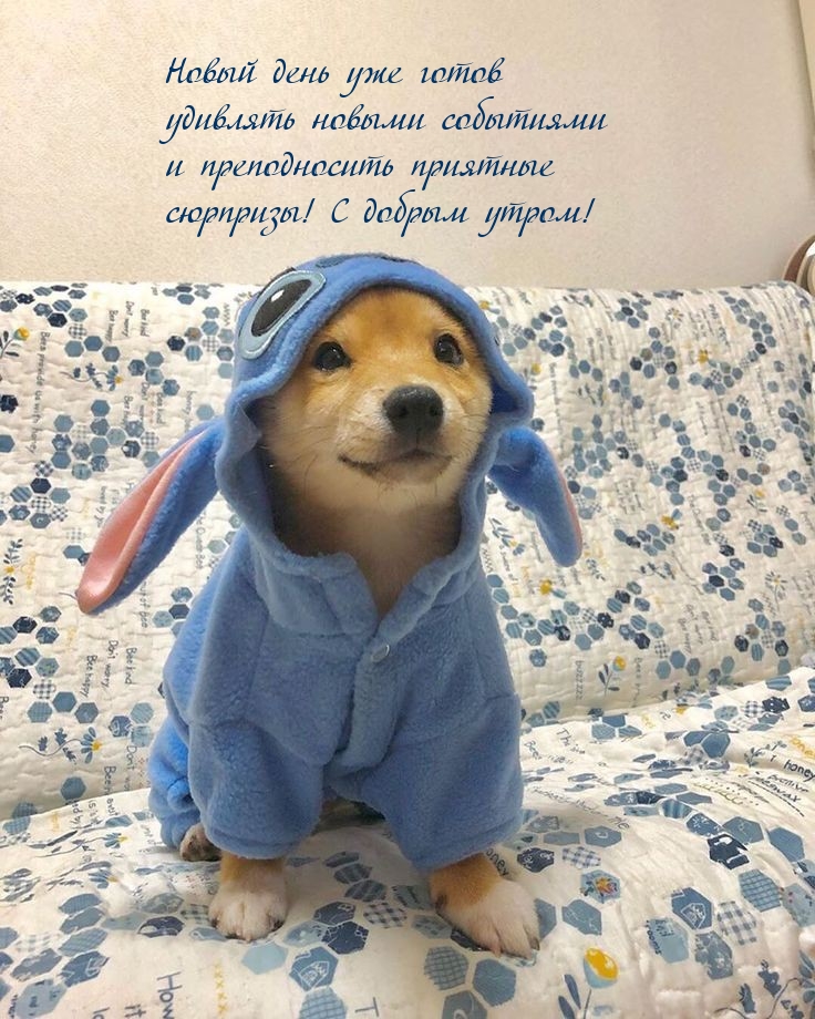 Новый день уже готов удивлять новыми событиями