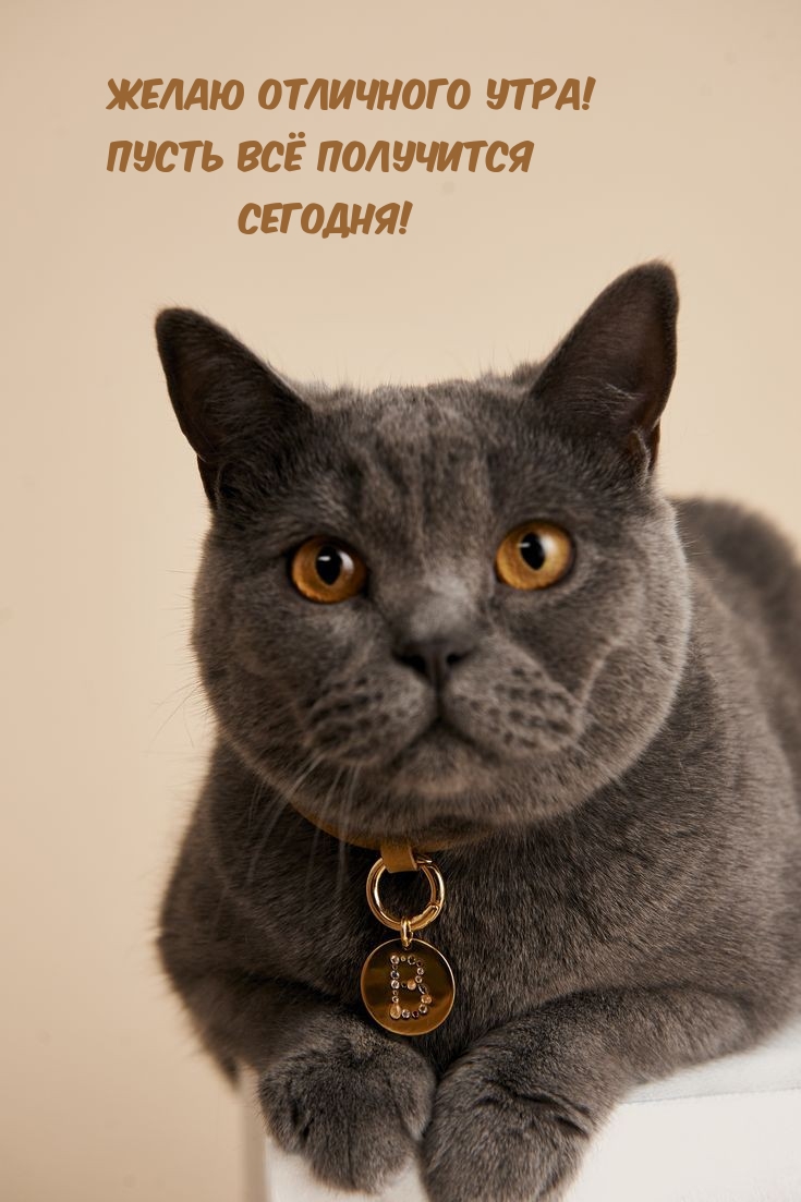 Желаю отличного утра! Пусть всё получится сегодня!