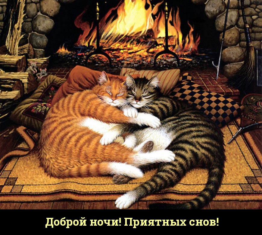 Доброй ночи! Приятных снов!