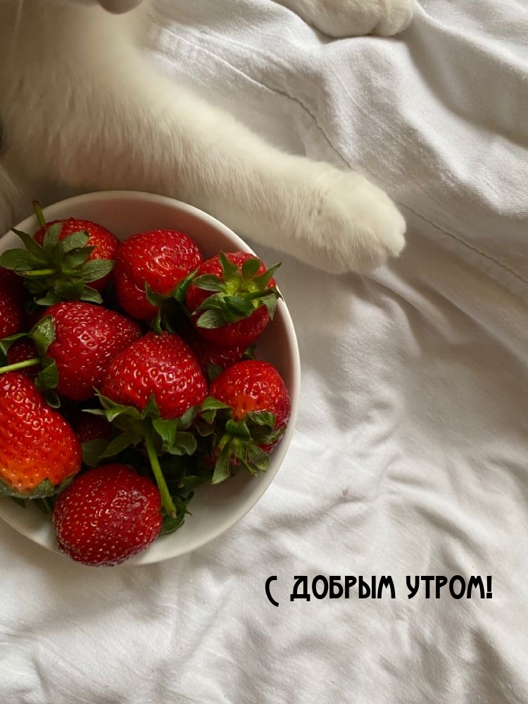 С добрым утром!