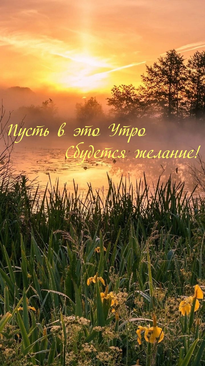 Пусть в это Утро Сбудется желание!