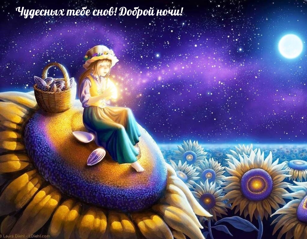 Чудесных тебе снов! Доброй ночи!