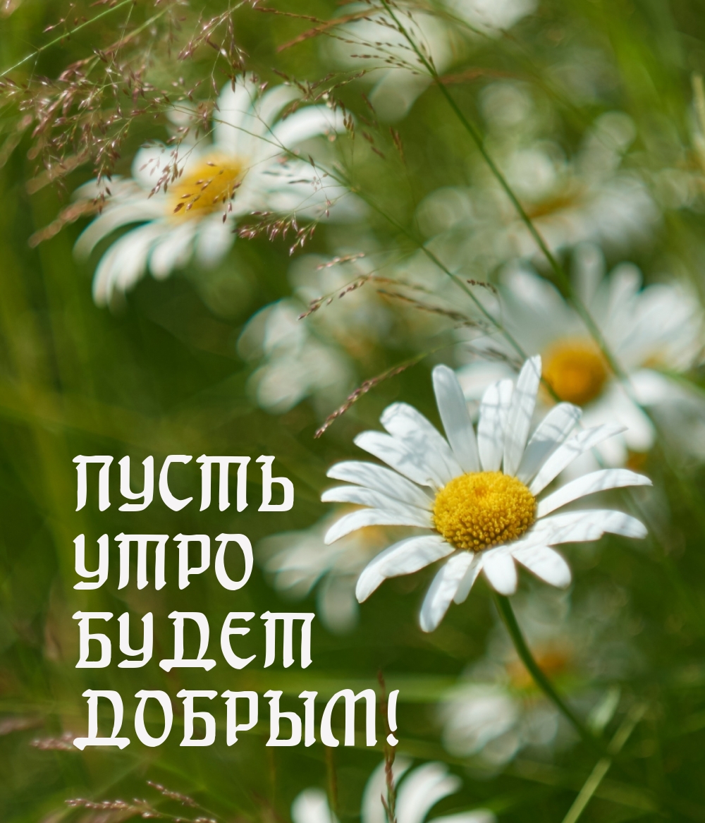 Пусть утро будет добрым!