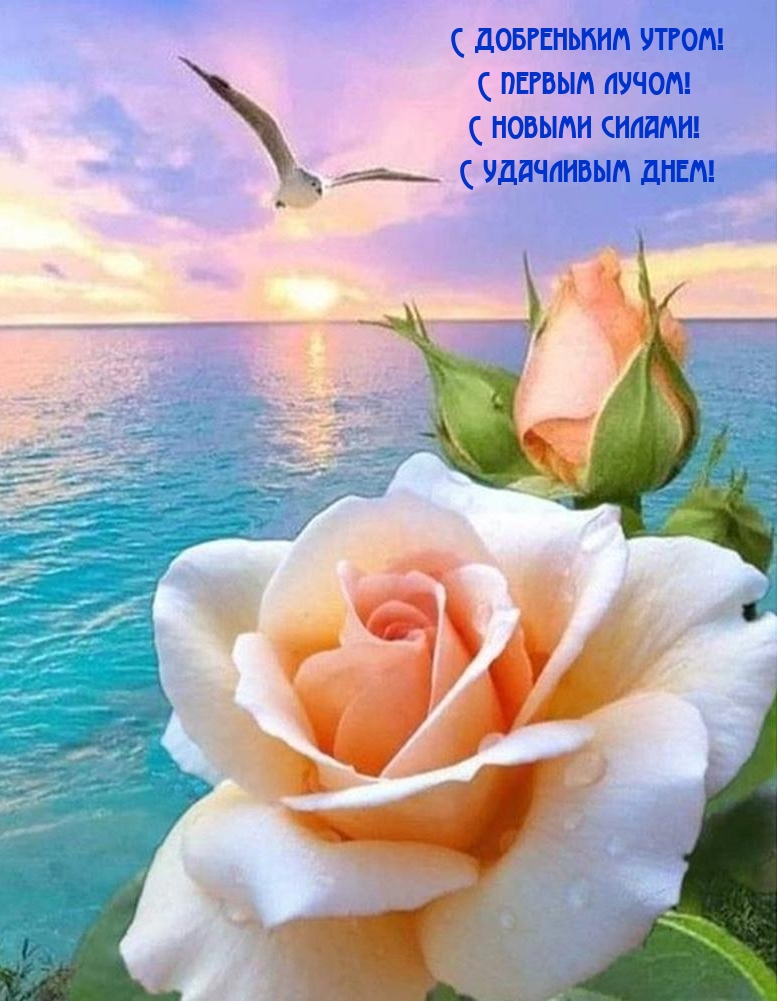 С добреньким утром! С первым лучом!