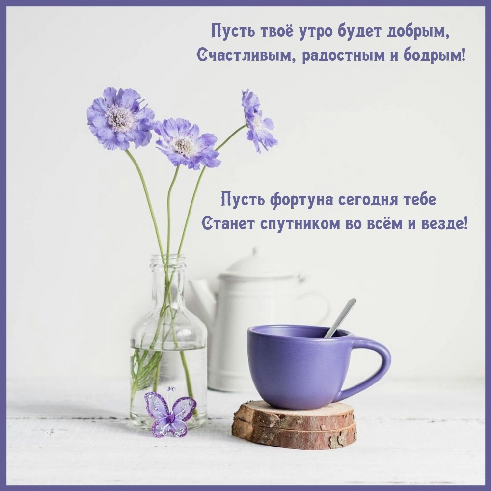 Пусть твоё утро будет добрым, счастливым, радостным и бодрым!