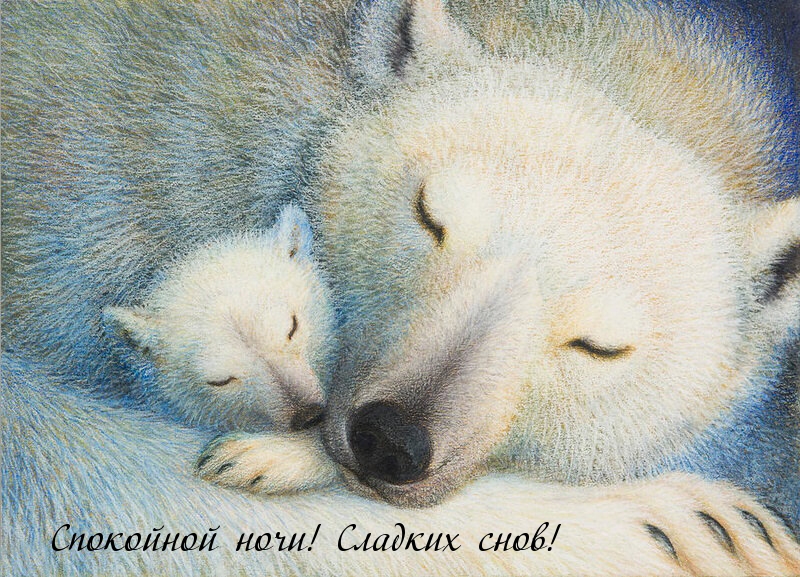 Спокойной ночи! Сладких снов!