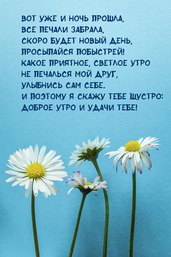 Доброе утро и удачи тебе! Вот уже и ночь прошла