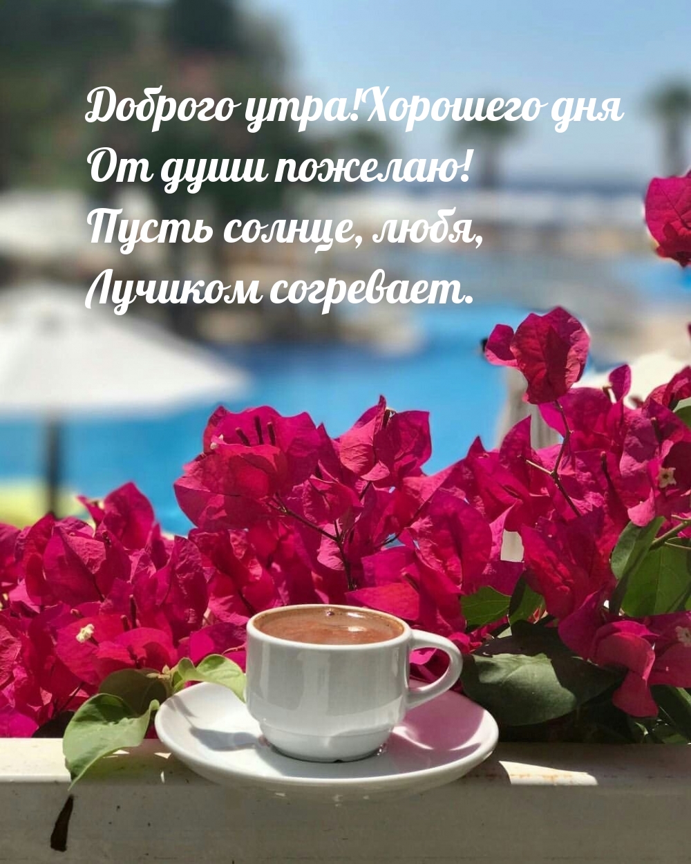 Доброго утра! Хорошего дня От души пожелаю!