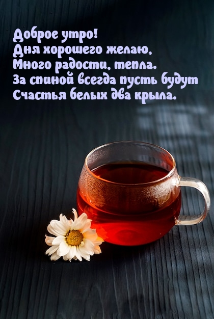 Доброе утро! Дня хорошего желаю, много радости, тепла.