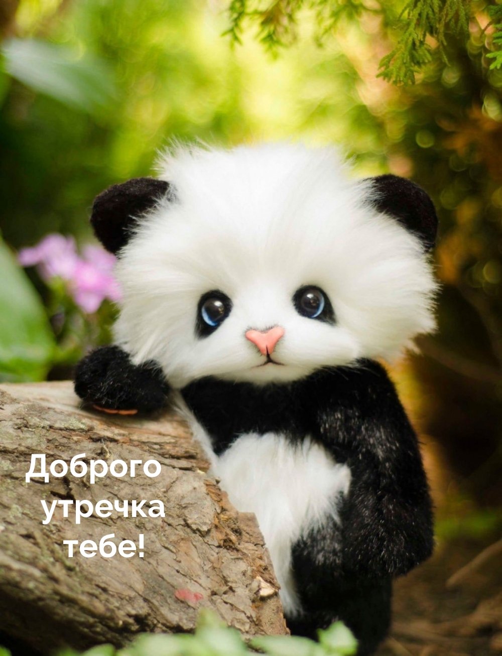 Доброго утречка тебе!