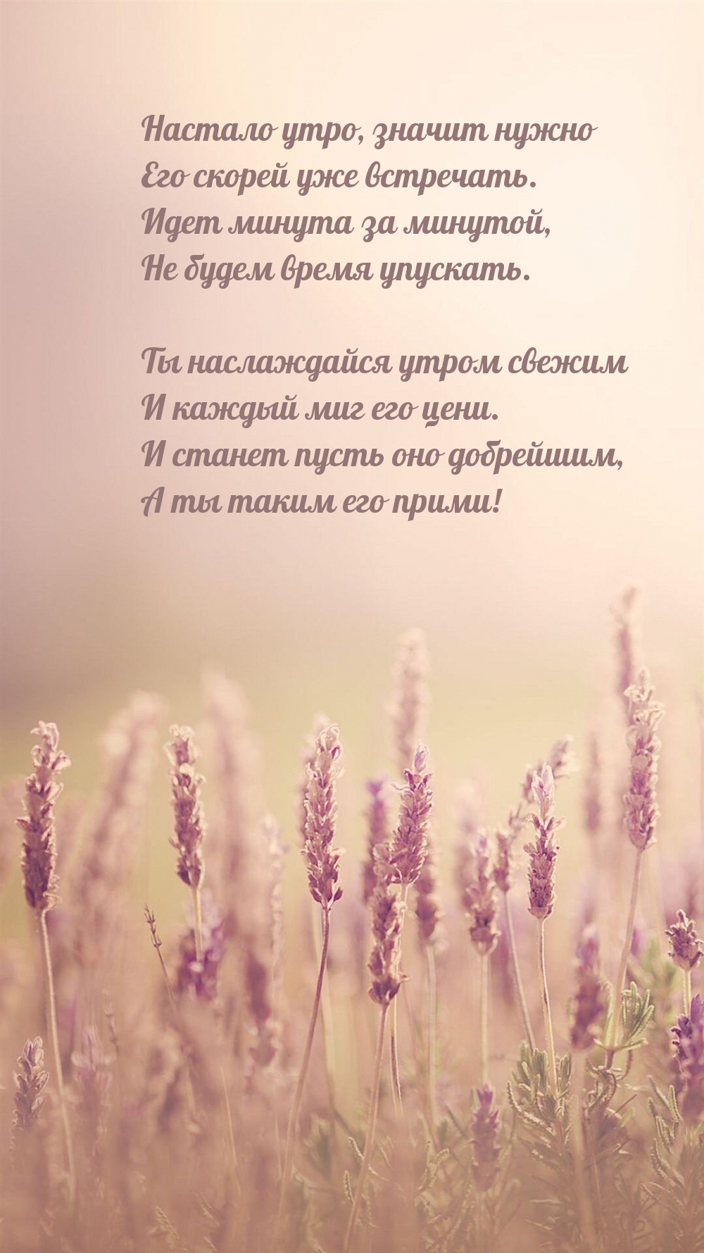 Настало утро, значит нужно его скорей уже встречать.