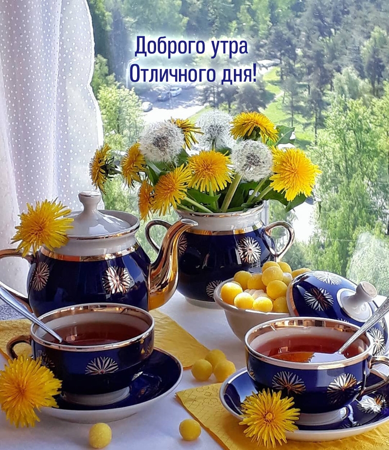 Доброго утра Отличного дня!