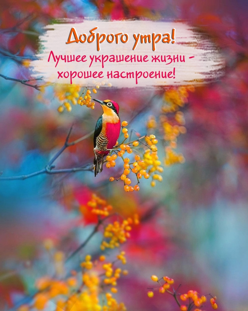 Доброго утра! Лучшее украшение жизни — хорошее настроение!