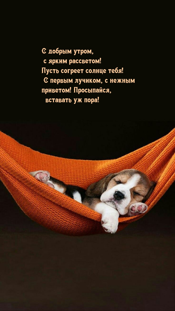 С добрым утром, с ярким рассветом! Пусть согреет солнце тебя!