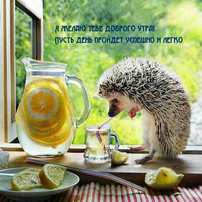 Я желаю тебе доброго утра! Пусть день пройдет успешно и легко