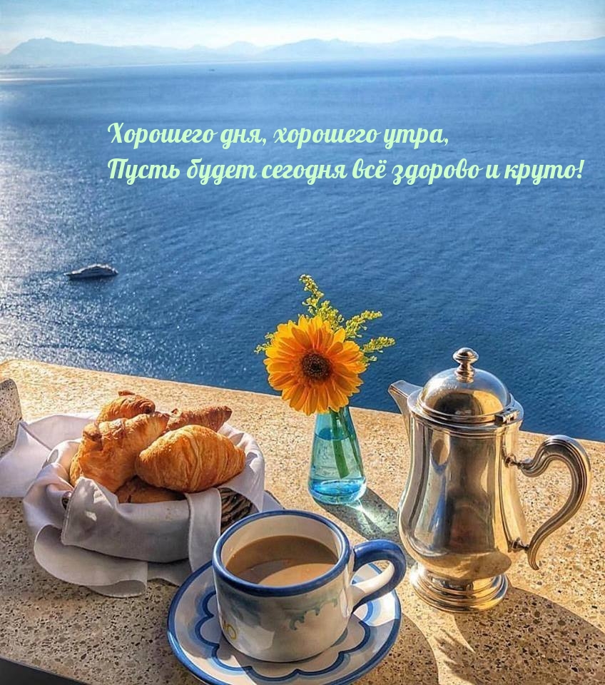 Хорошего дня, утра, пусть будет сегодня всё здорово и круто!