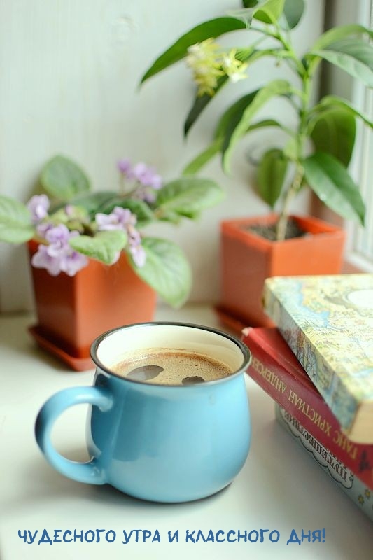 Чудесного утра и классного дня!