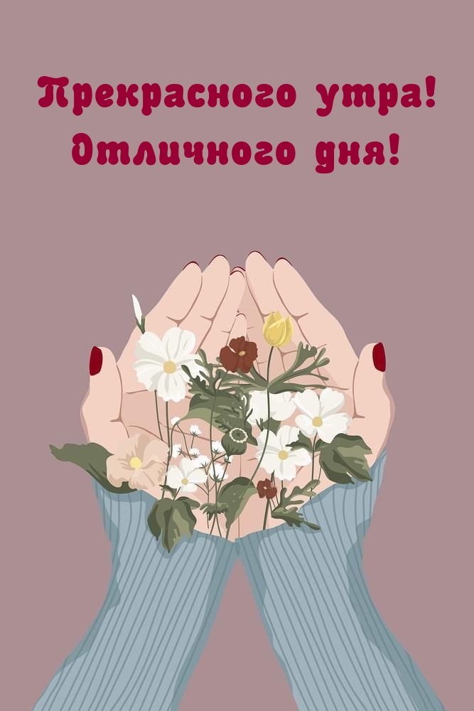 Прекрасного утра! Отличного дня!