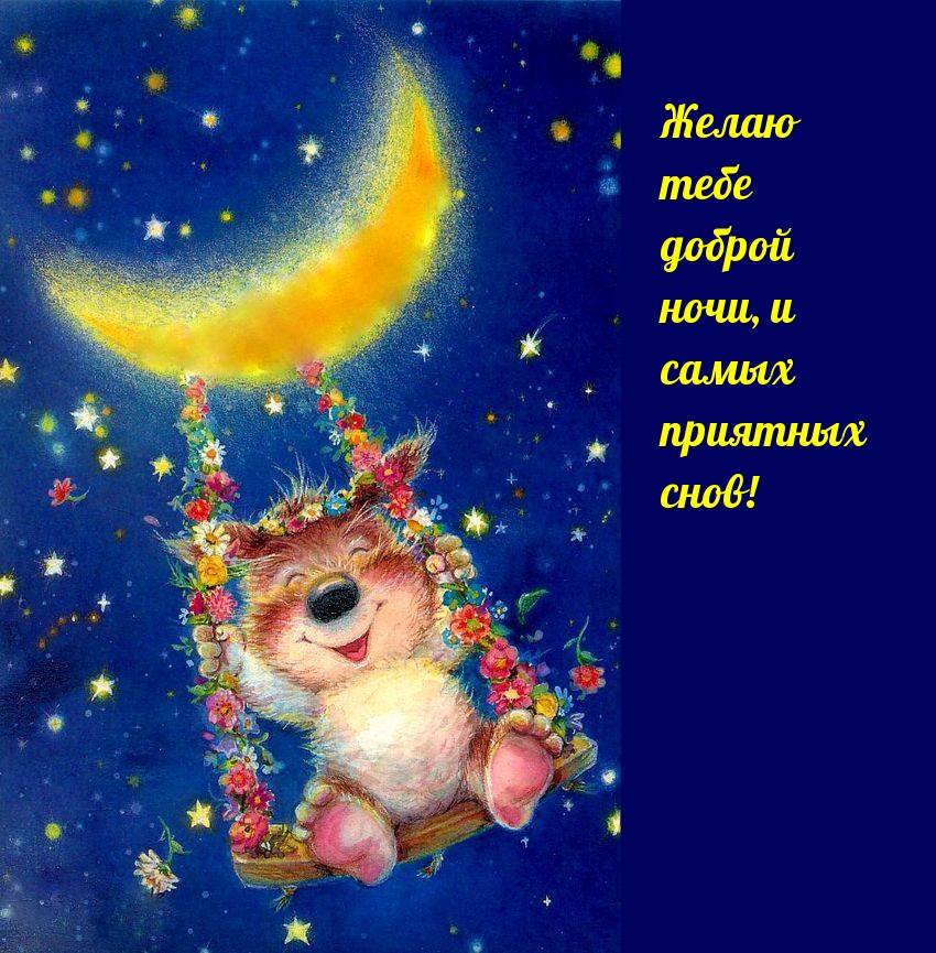 Желаю тебе доброй ночи, и самых приятных снов!