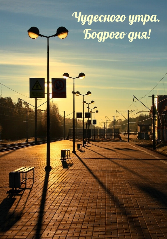 Чудесного утра. Бодрого дня!