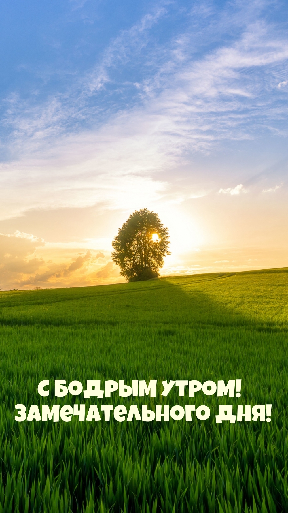 С бодрым утром! Замечательного дня!