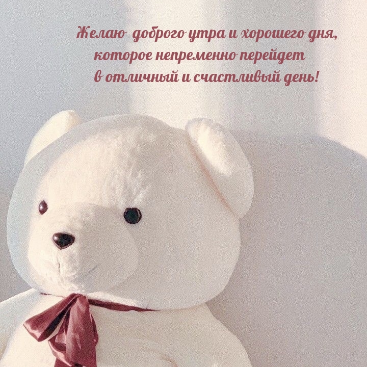 Желаю доброго утра и хорошего дня