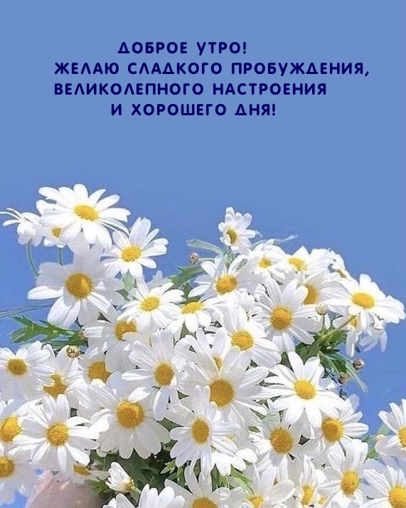 Доброе утро! Желаю сладкого пробуждения
