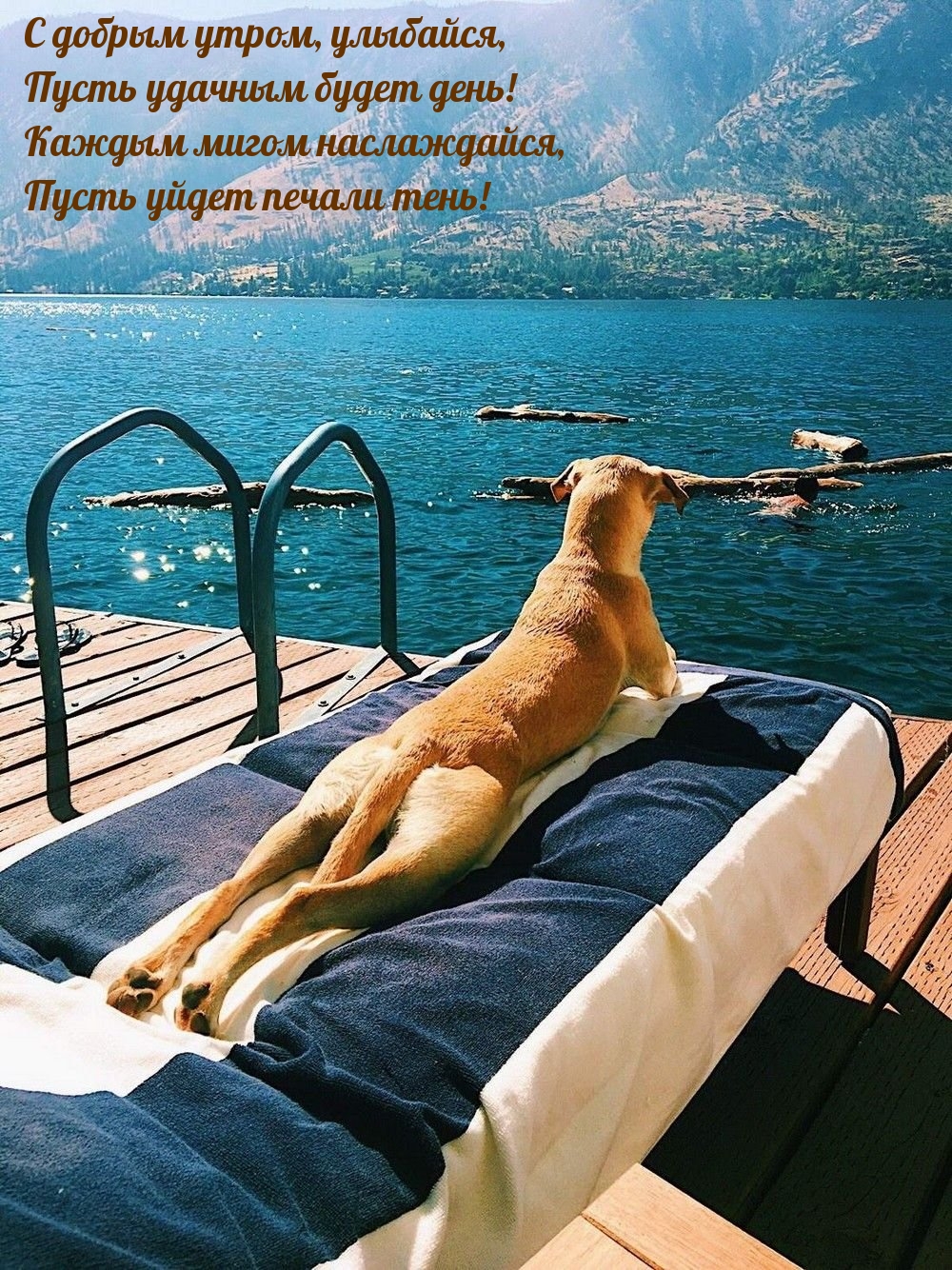 С добрым утром, улыбайся, пусть удачным будет день!