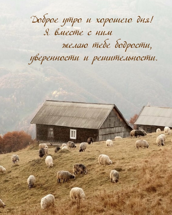 Доброе утро и хорошего дня! Я вместе с ним желаю тебе бодрости