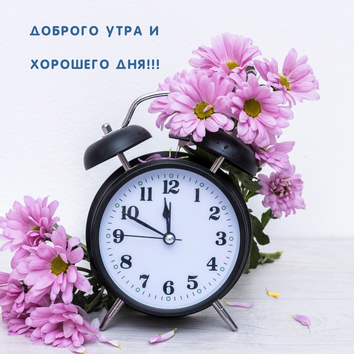 Доброго утра и хорошего дня!