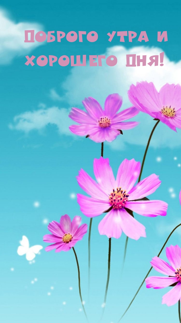 Доброго утра и хорошего дня!